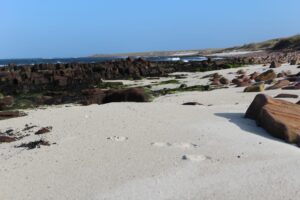 Image of a white sandy beach on the North Coast 500